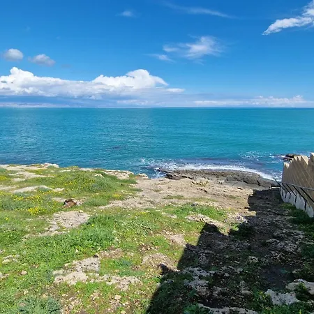 Carlotta ברוקולי