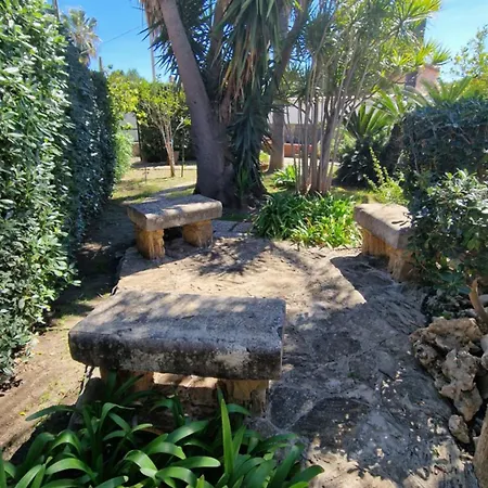 Carlotta ברוקולי