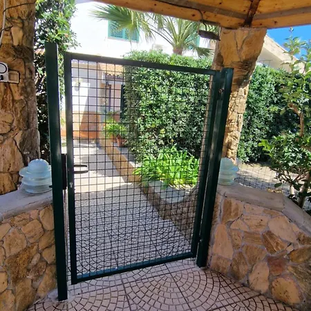 Carlotta * ברוקולי