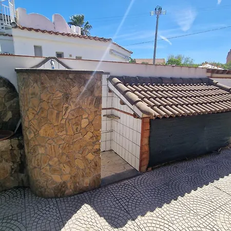 Carlotta ברוקולי