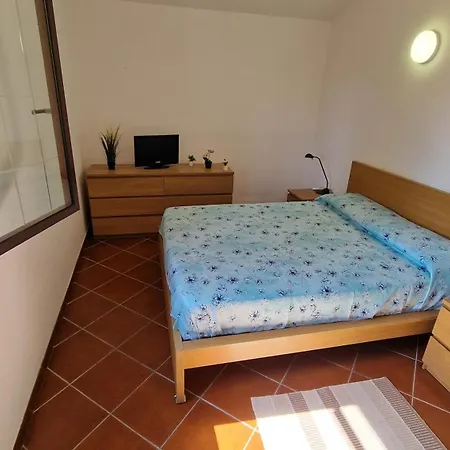 Carlotta * ברוקולי